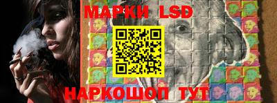 тгк Бийск