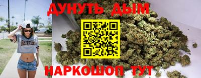тгк Бийск