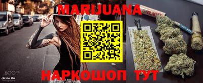 тгк Бийск