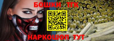 тгк Бийск