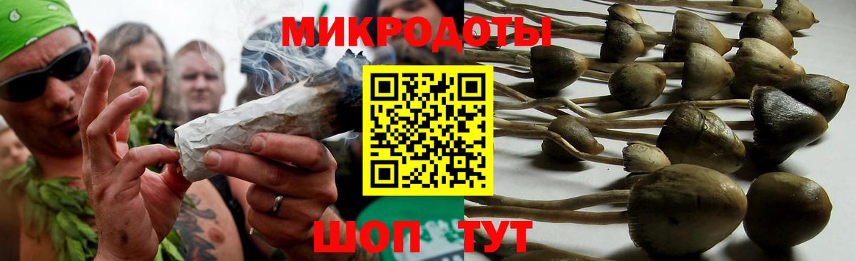 Галлюциногенные грибы Psilocybe Когалым