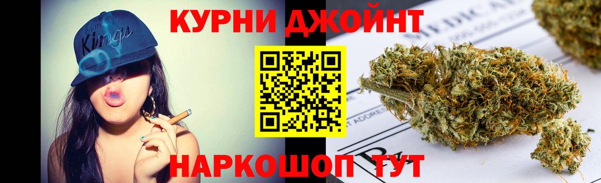Конопля план Когалым